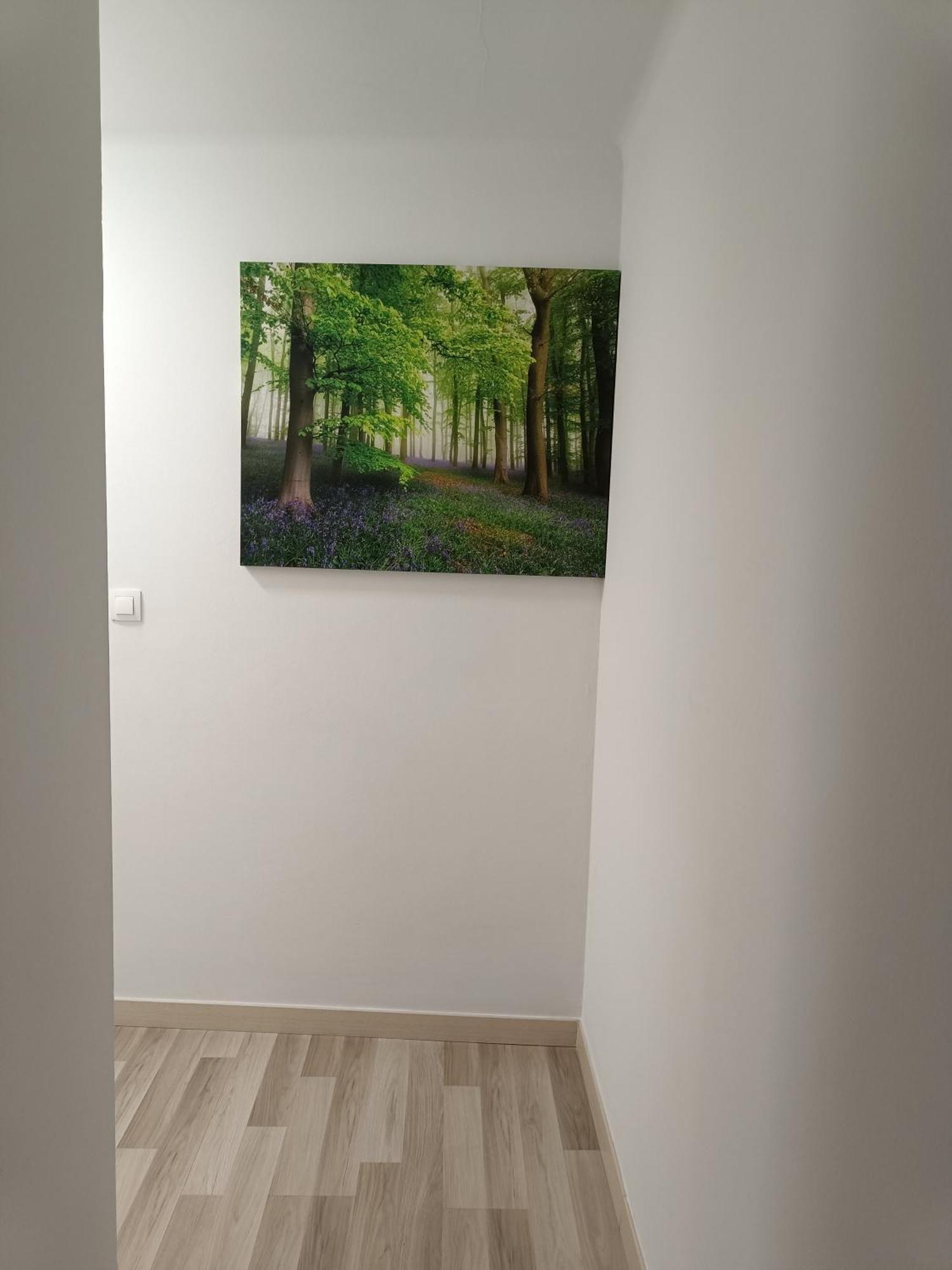 Apartamento Confort I 라 세우 두르헬 외부 사진
